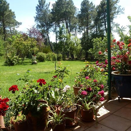 Willa Domaine Du Planas - Patio Ailhon Zewnętrze zdjęcie