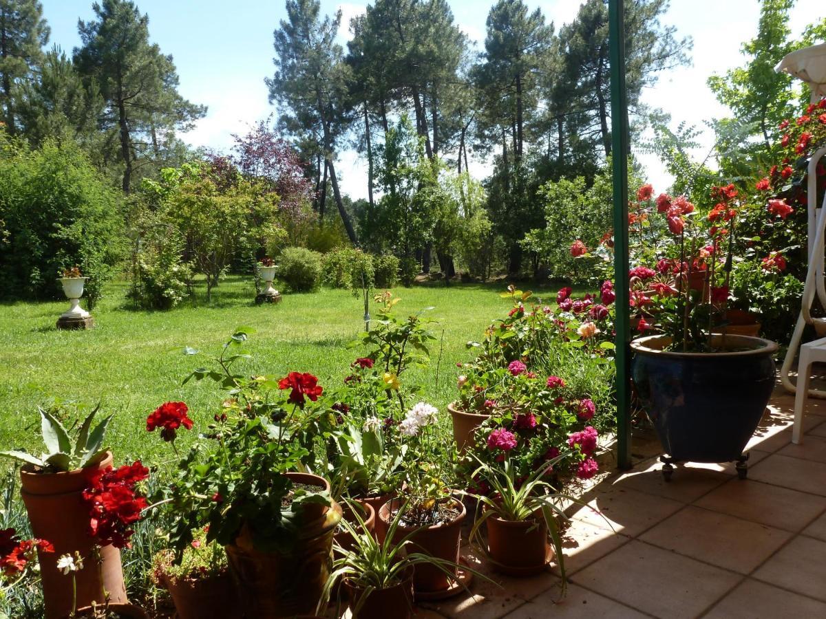 Willa Domaine Du Planas - Patio Ailhon Zewnętrze zdjęcie